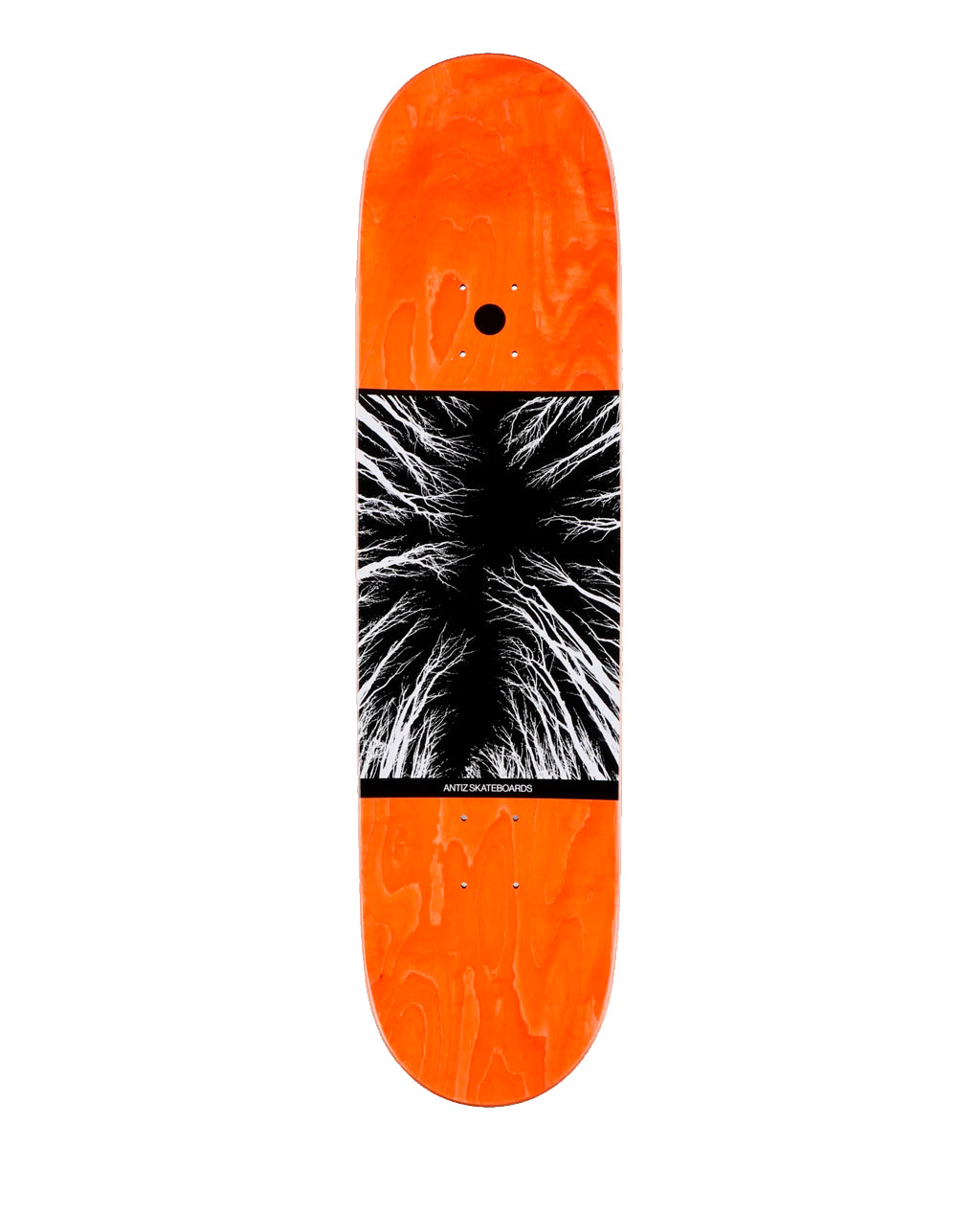 Antiz Robin Bolian 8.3