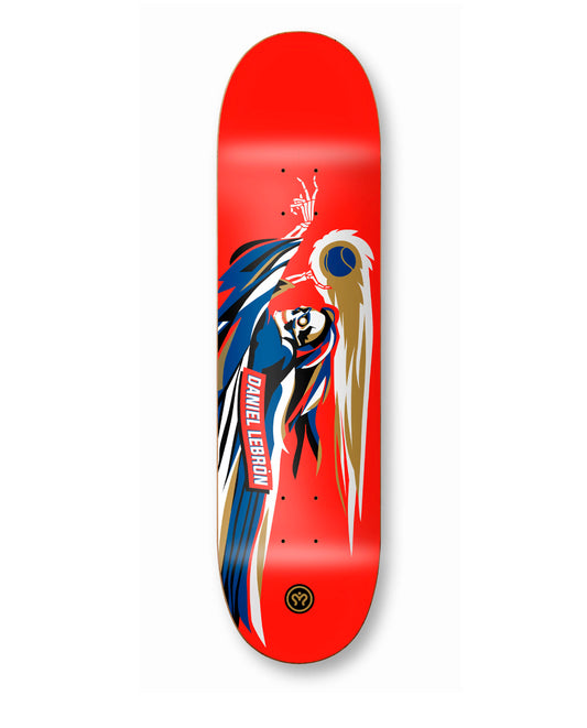 Imagine x Daniel Lebron 8.2